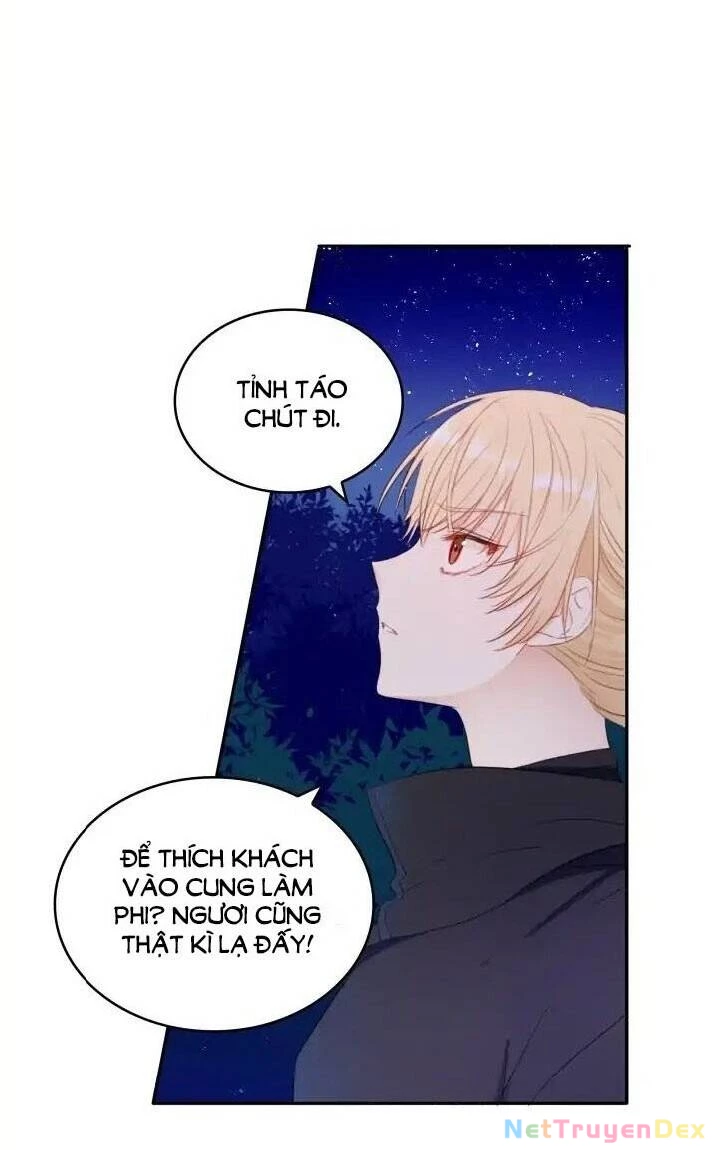 Ái Phi, Dao Của Nàng Rơi Rồi Chapter 2 - Trang 4