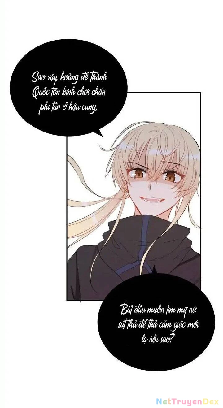 Ái Phi, Dao Của Nàng Rơi Rồi Chapter 2 - Trang 4