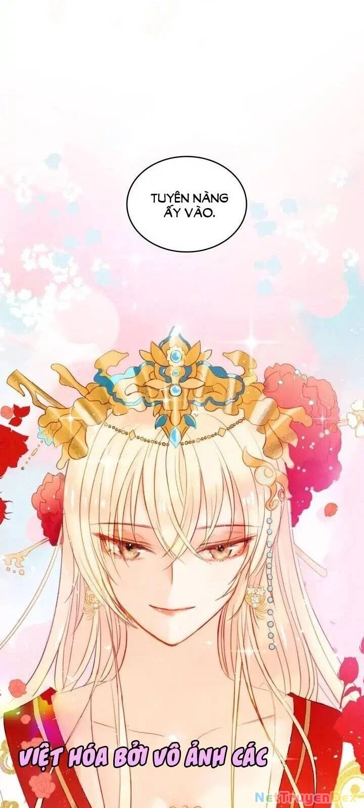 Ái Phi, Dao Của Nàng Rơi Rồi Chapter 2 - Trang 4