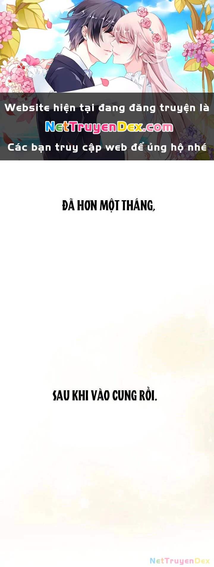 Ái Phi, Dao Của Nàng Rơi Rồi Chapter 3 - Trang 4