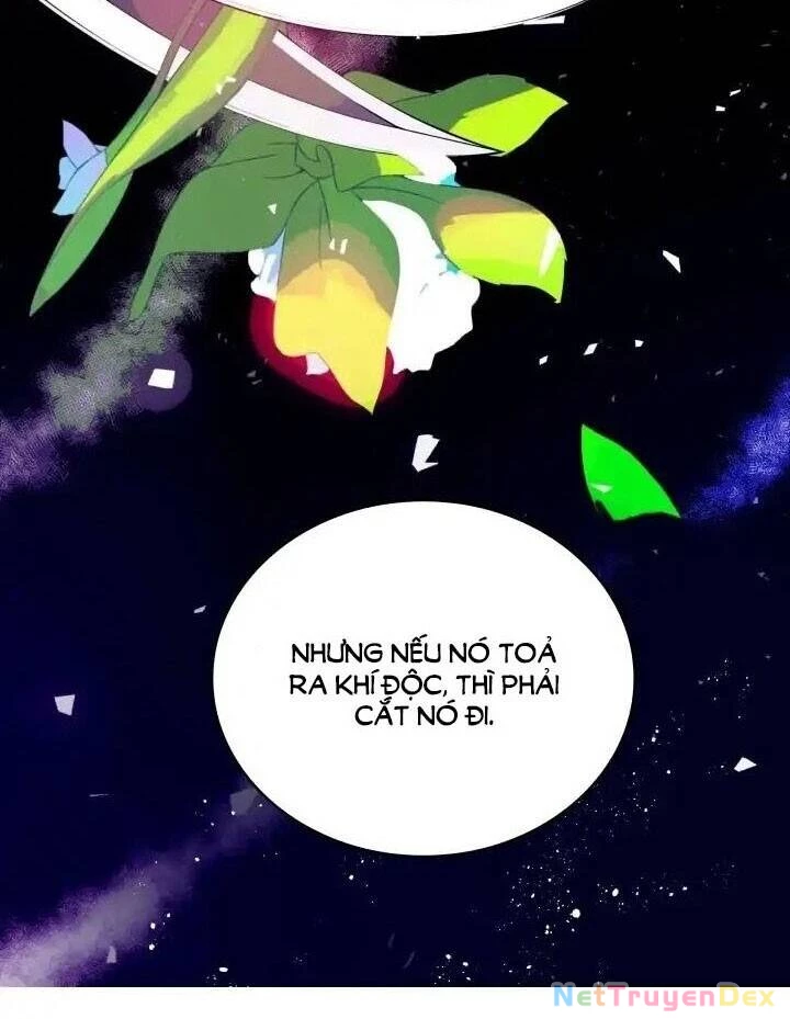 Ái Phi, Dao Của Nàng Rơi Rồi Chapter 3 - Trang 4