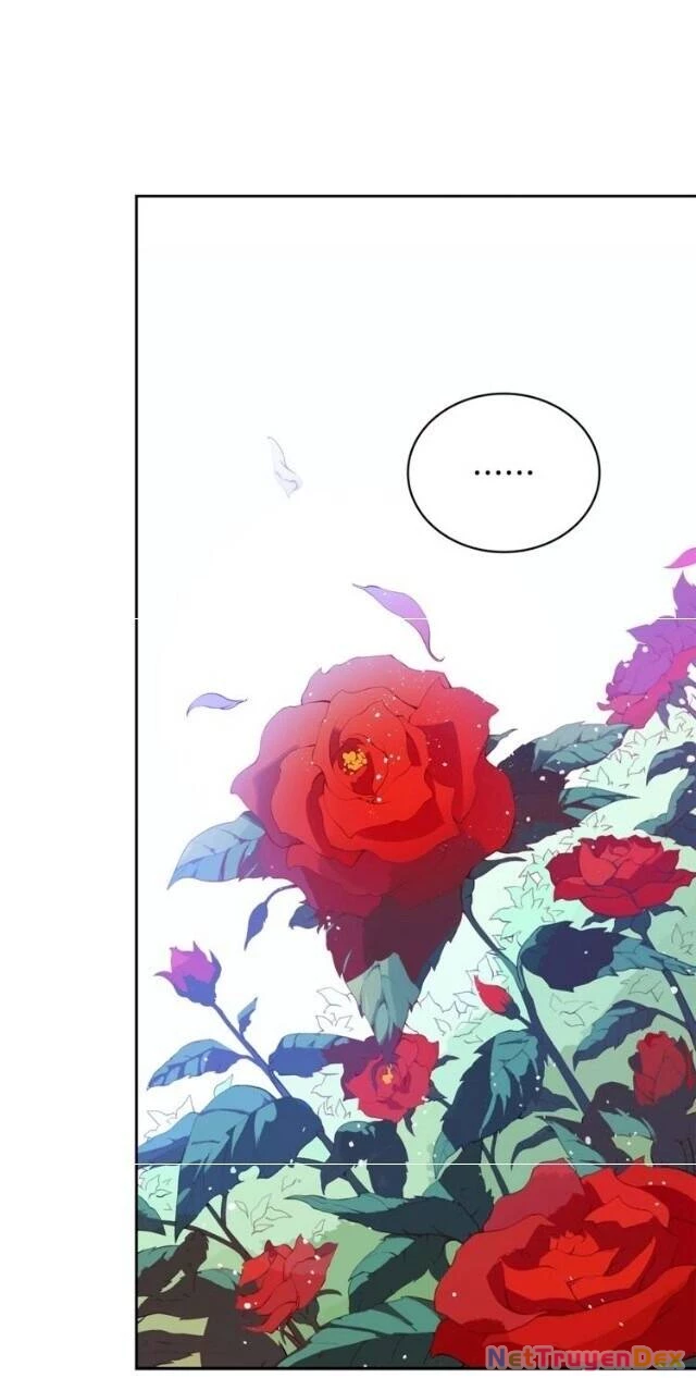 Ái Phi, Dao Của Nàng Rơi Rồi Chapter 8 - Trang 4