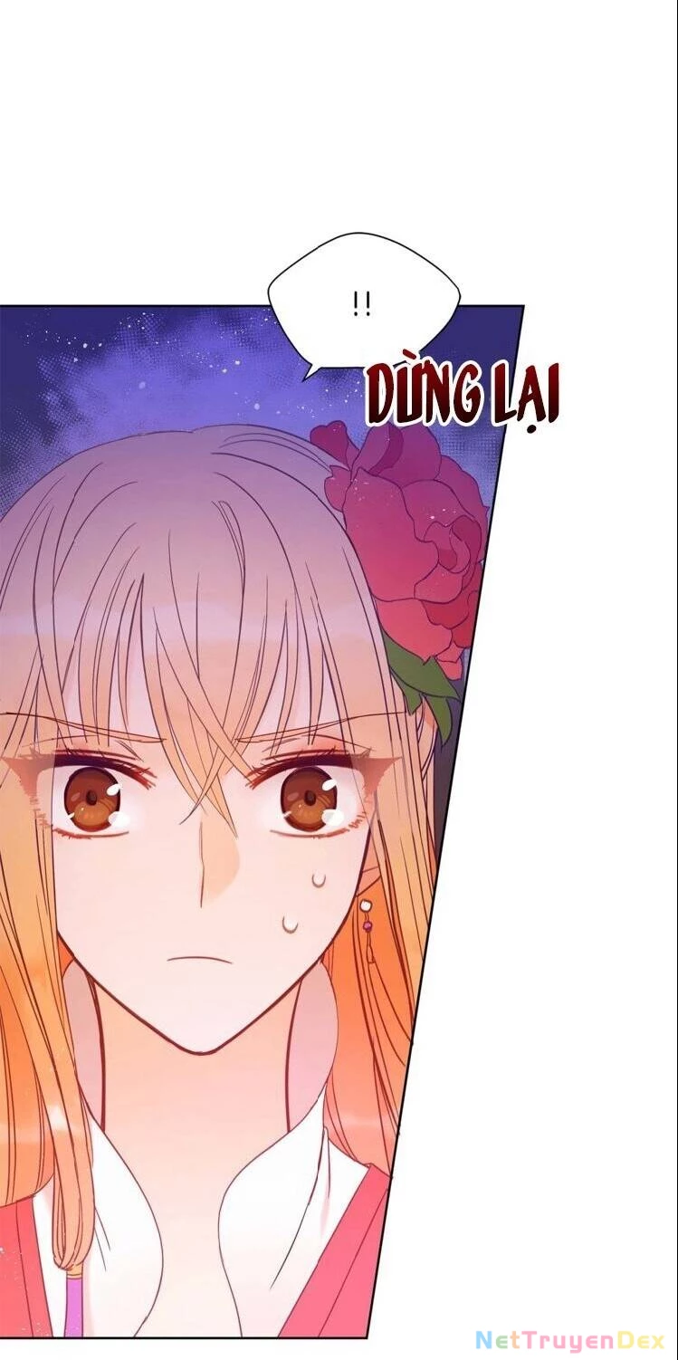 Ái Phi, Dao Của Nàng Rơi Rồi Chapter 10 - Trang 4