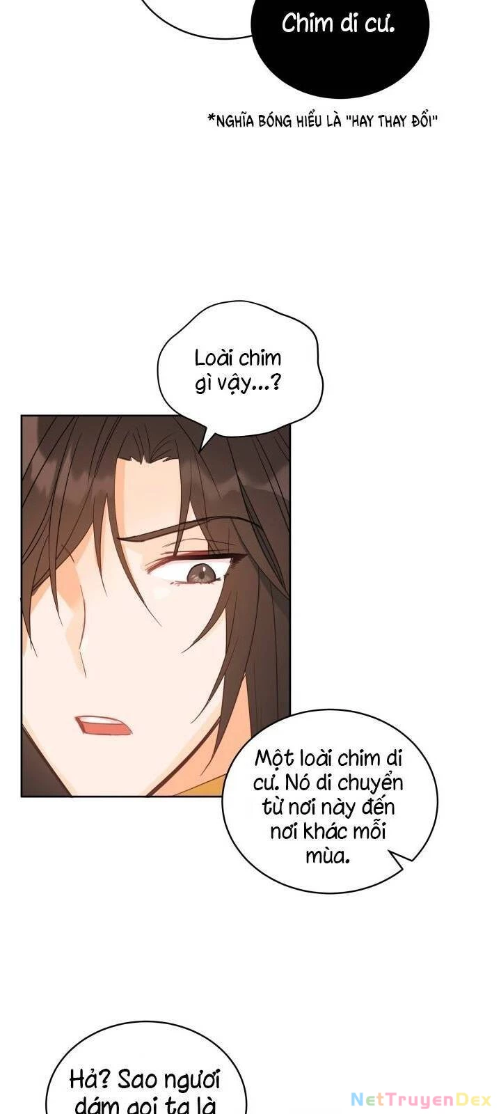 Ái Phi, Dao Của Nàng Rơi Rồi Chapter 15 - Trang 4