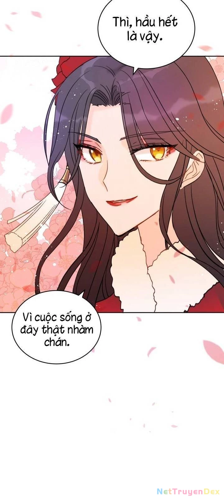 Ái Phi, Dao Của Nàng Rơi Rồi Chapter 16 - Trang 4