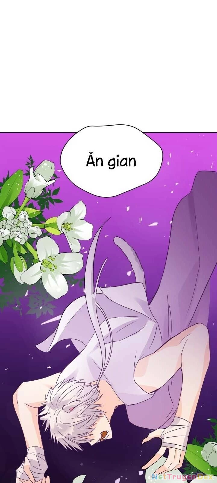 Ái Phi, Dao Của Nàng Rơi Rồi Chapter 28 - Trang 4