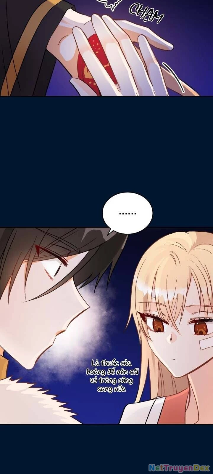 Ái Phi, Dao Của Nàng Rơi Rồi Chapter 30 - Trang 4