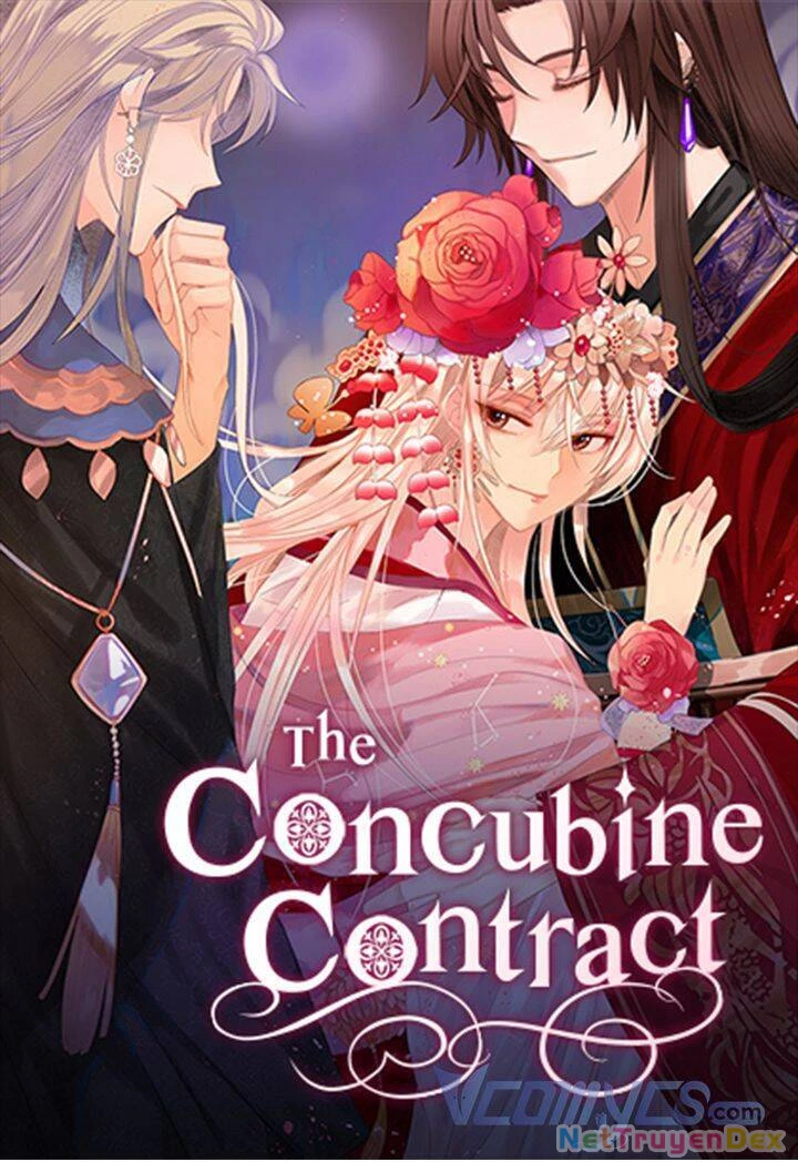 Ái Phi, Dao Của Nàng Rơi Rồi Chapter 39 - Trang 4