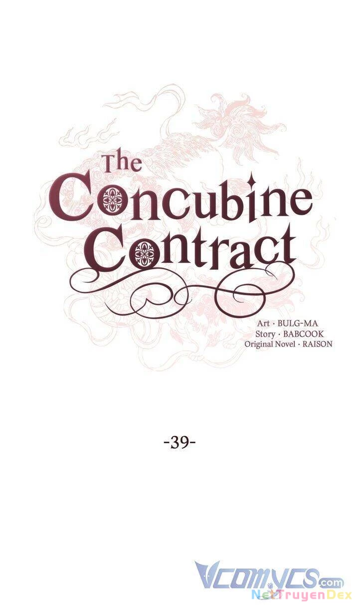 Ái Phi, Dao Của Nàng Rơi Rồi Chapter 39 - Trang 4