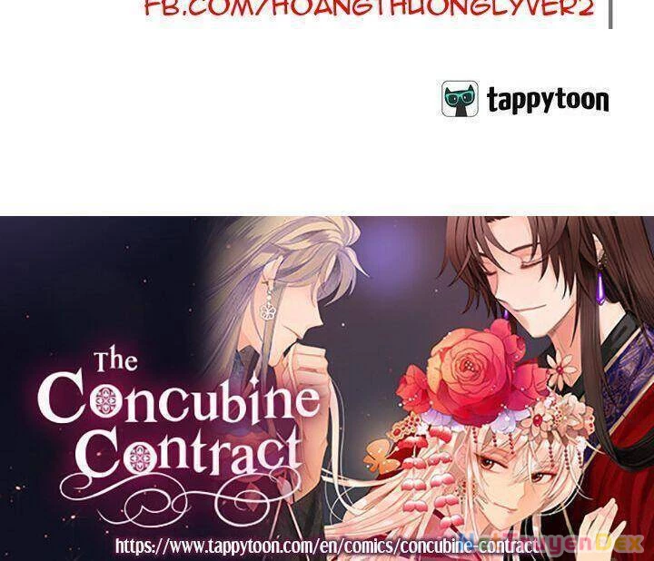 Ái Phi, Dao Của Nàng Rơi Rồi Chapter 45 - Trang 4