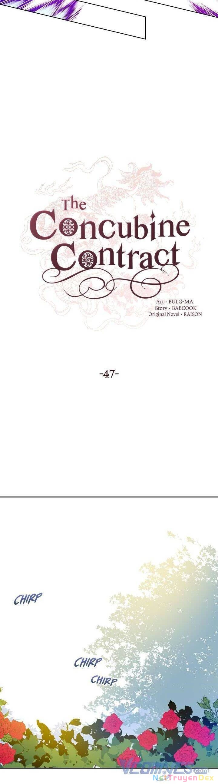 Ái Phi, Dao Của Nàng Rơi Rồi Chapter 47 - Trang 4