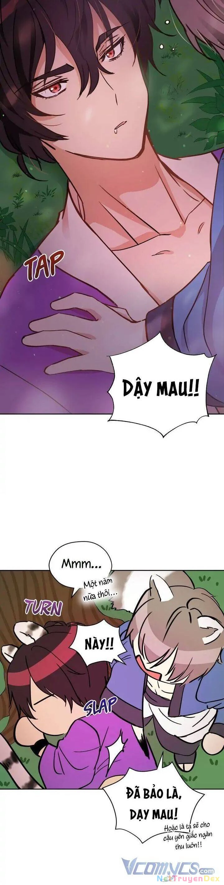 Ái Phi, Dao Của Nàng Rơi Rồi Chapter 56 - Trang 4