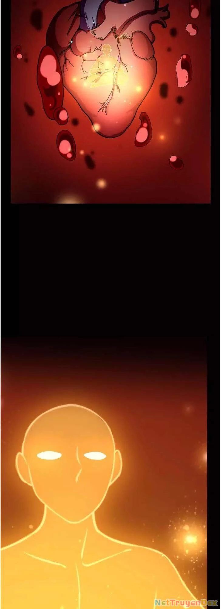 Võ Đạo Độc Tôn Chapter 3 - Next Chapter 4