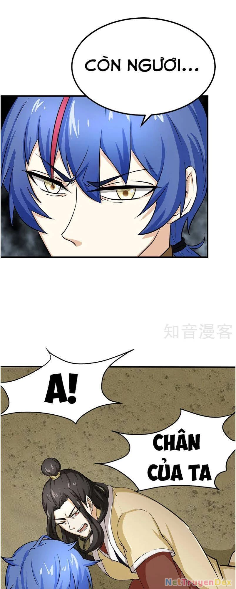 Võ Đạo Độc Tôn Chapter 5 - Next Chapter 6