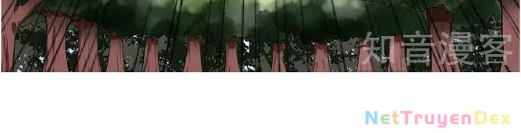 Võ Đạo Độc Tôn Chapter 5 - Next Chapter 6