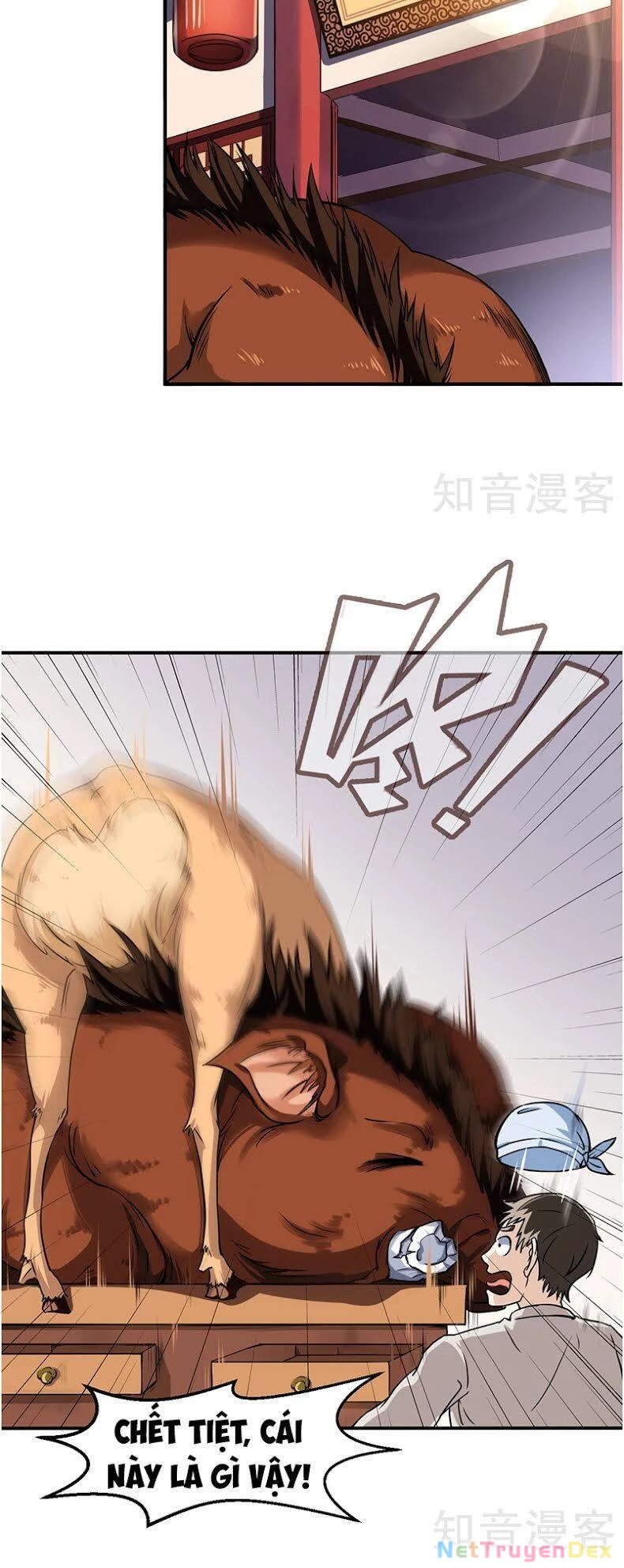 Võ Đạo Độc Tôn Chapter 11 - Next Chapter 12