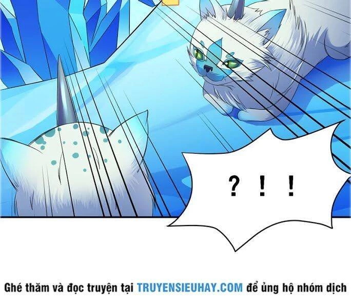 Võ Đạo Độc Tôn Chapter 69 - Next Chapter 70