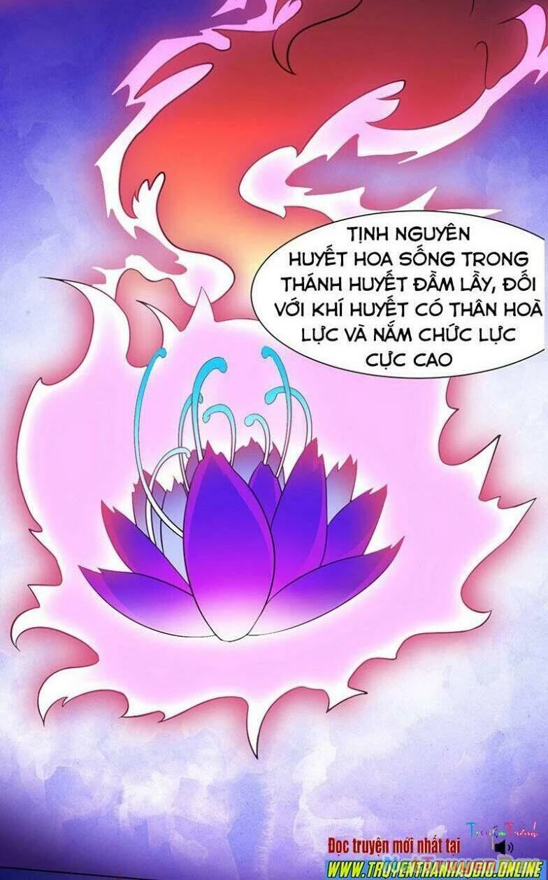 Võ Đạo Độc Tôn Chapter 114 - Next Chapter 115