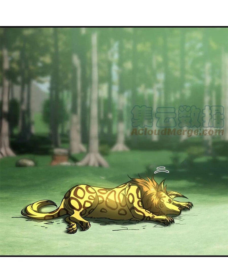 Toàn Cầu Cao Võ Chapter 134 - Trang 4