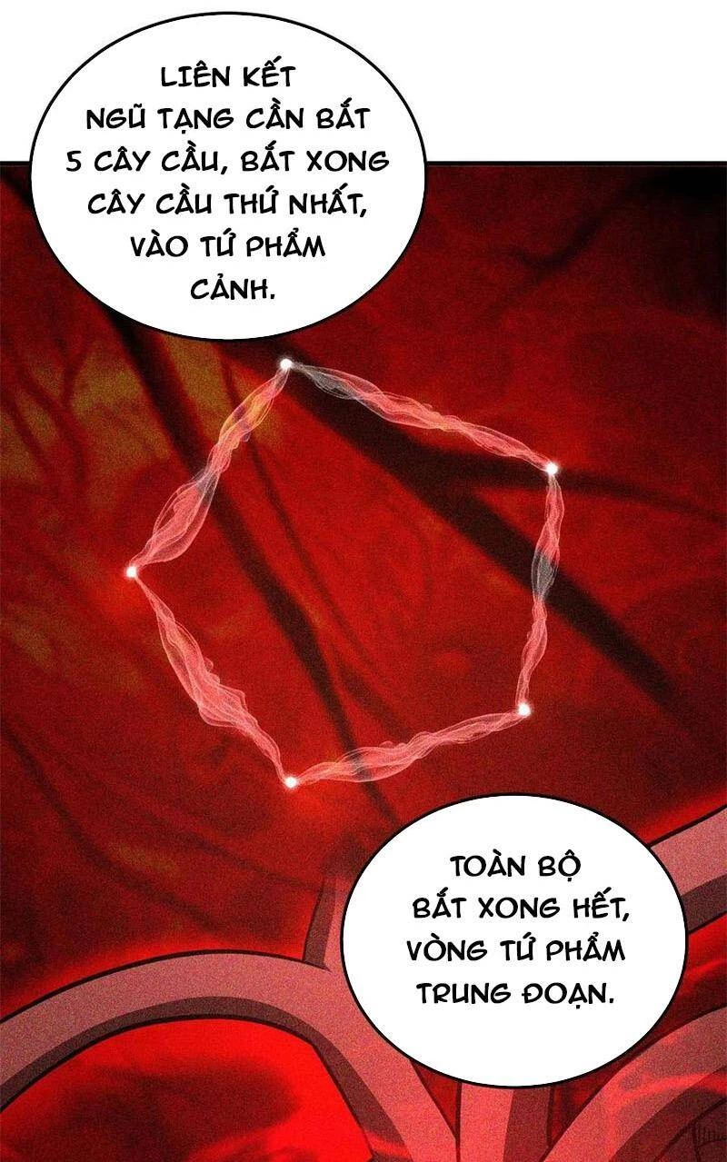 Toàn Cầu Cao Võ Chapter 169 - Trang 4