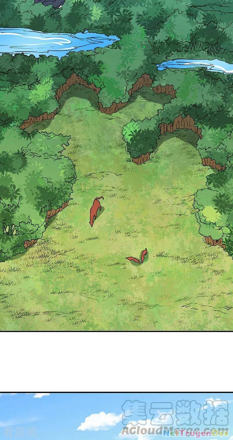 Võ Đạo Độc Tôn Chapter 255 - Next Chapter 256