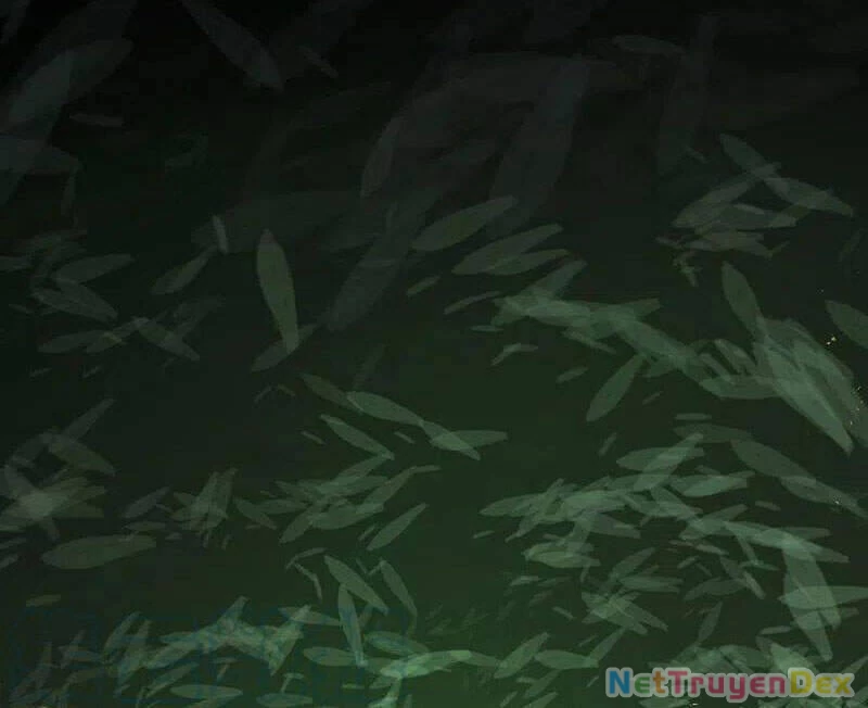 Võ Đạo Độc Tôn Chapter 342 - Next Chapter 343