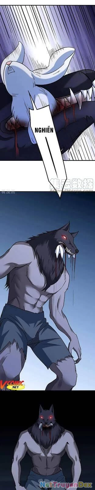 Võ Đạo Độc Tôn Chapter 346 - Next Chapter 347