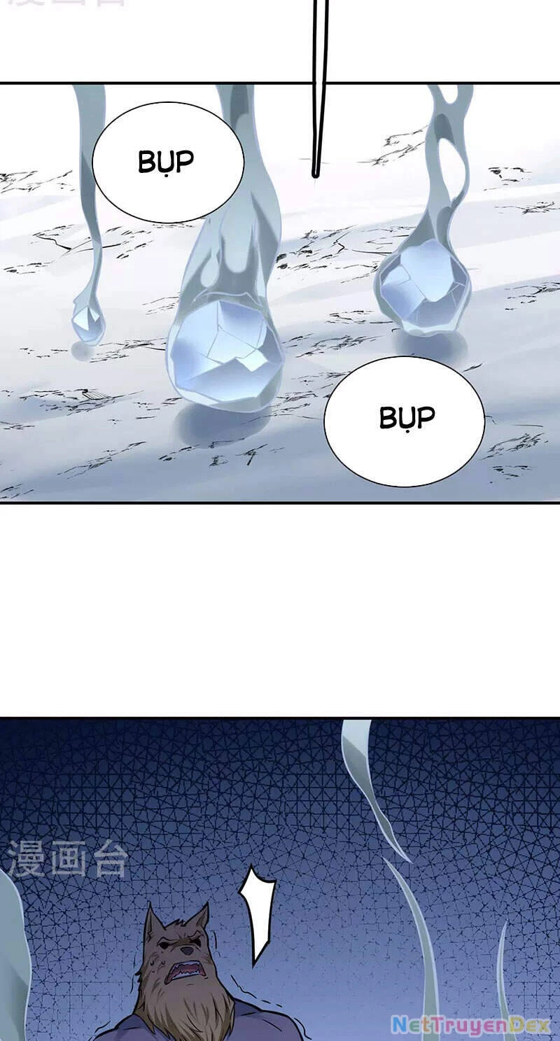 Võ Đạo Độc Tôn Chapter 350 - Next Chapter 351