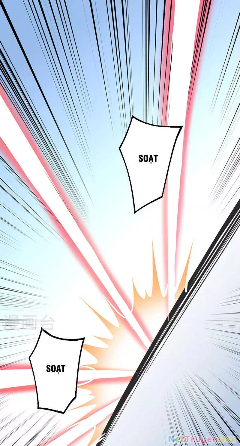 Võ Đạo Độc Tôn Chapter 356 - Next Chapter 357