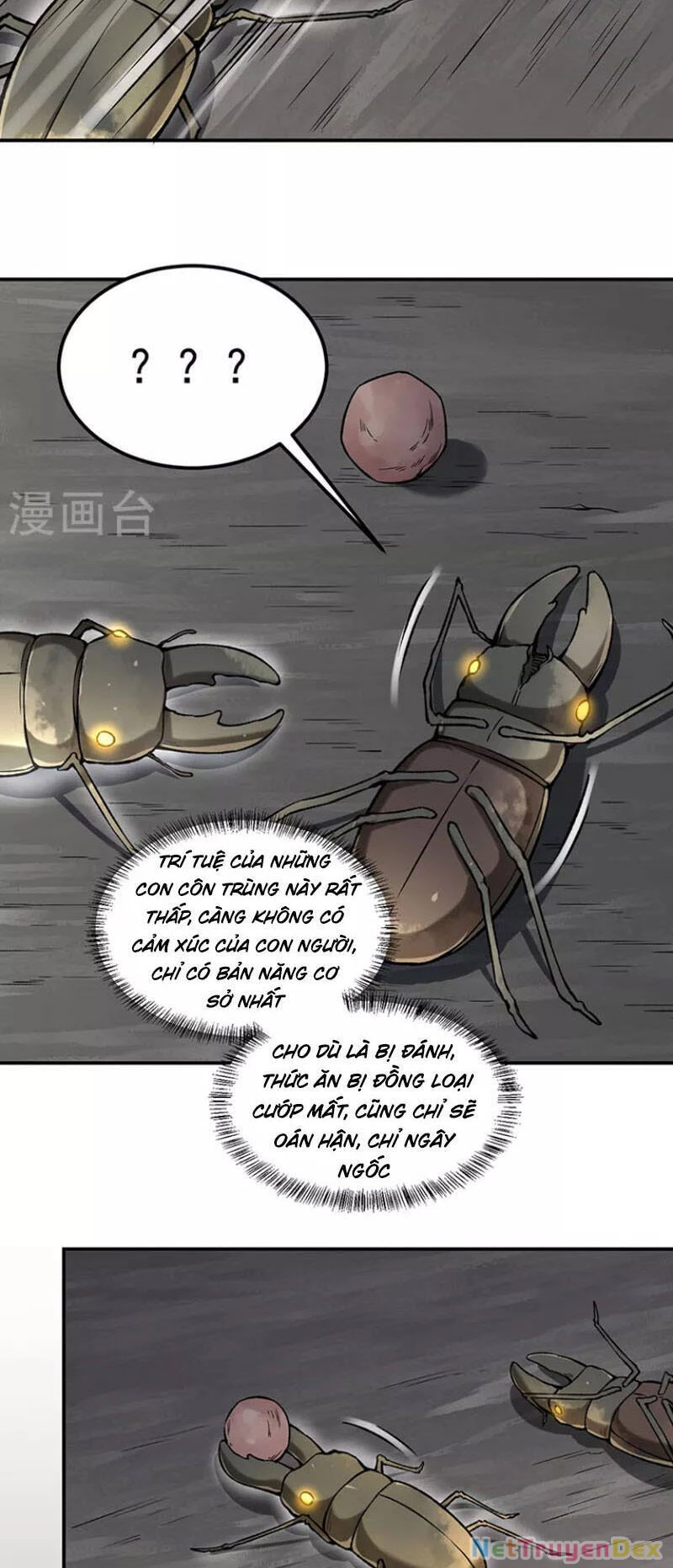 Võ Đạo Độc Tôn Chapter 383 - Next Chapter 384