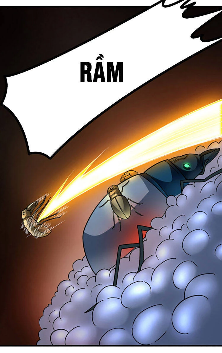 Võ Đạo Độc Tôn Chapter 384 - Next Chapter 385