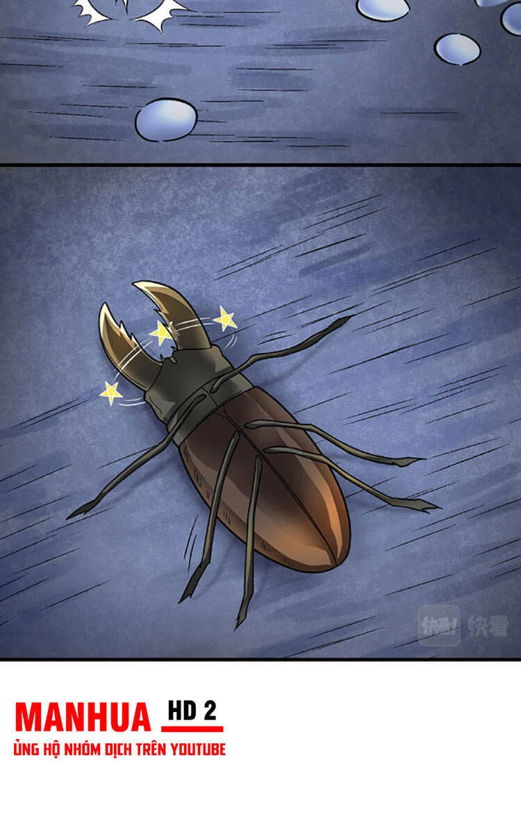 Võ Đạo Độc Tôn Chapter 384 - Next Chapter 385