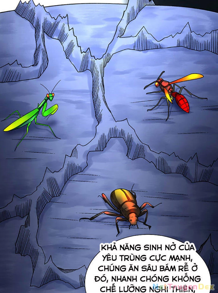 Võ Đạo Độc Tôn Chapter 384 - Next Chapter 385