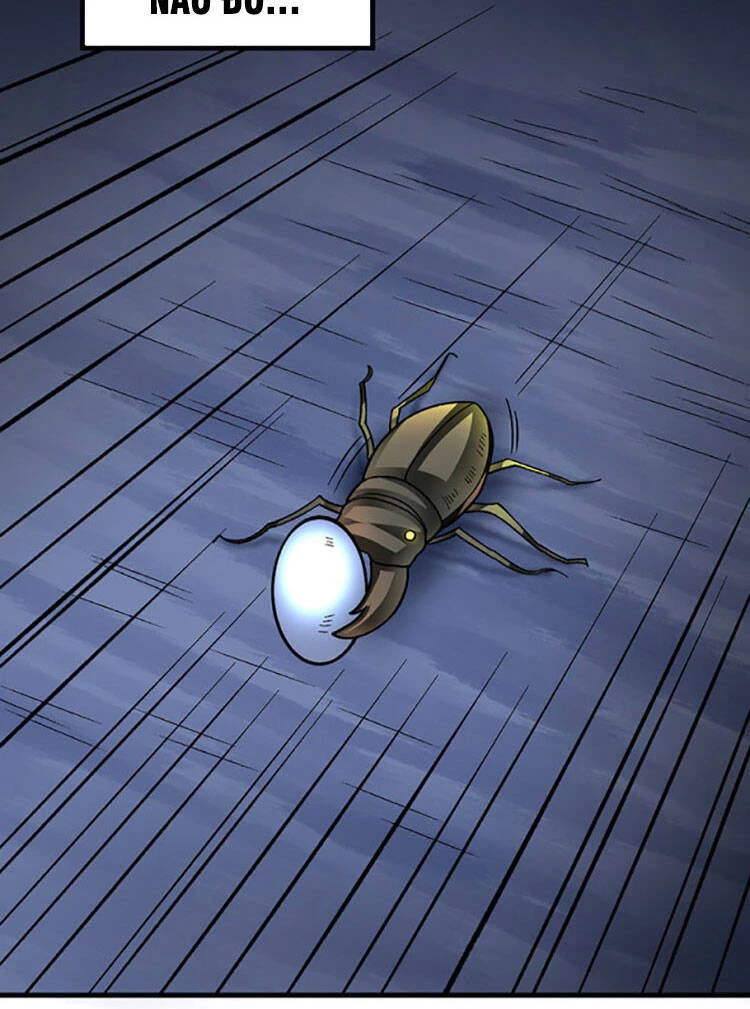 Võ Đạo Độc Tôn Chapter 384 - Next Chapter 385