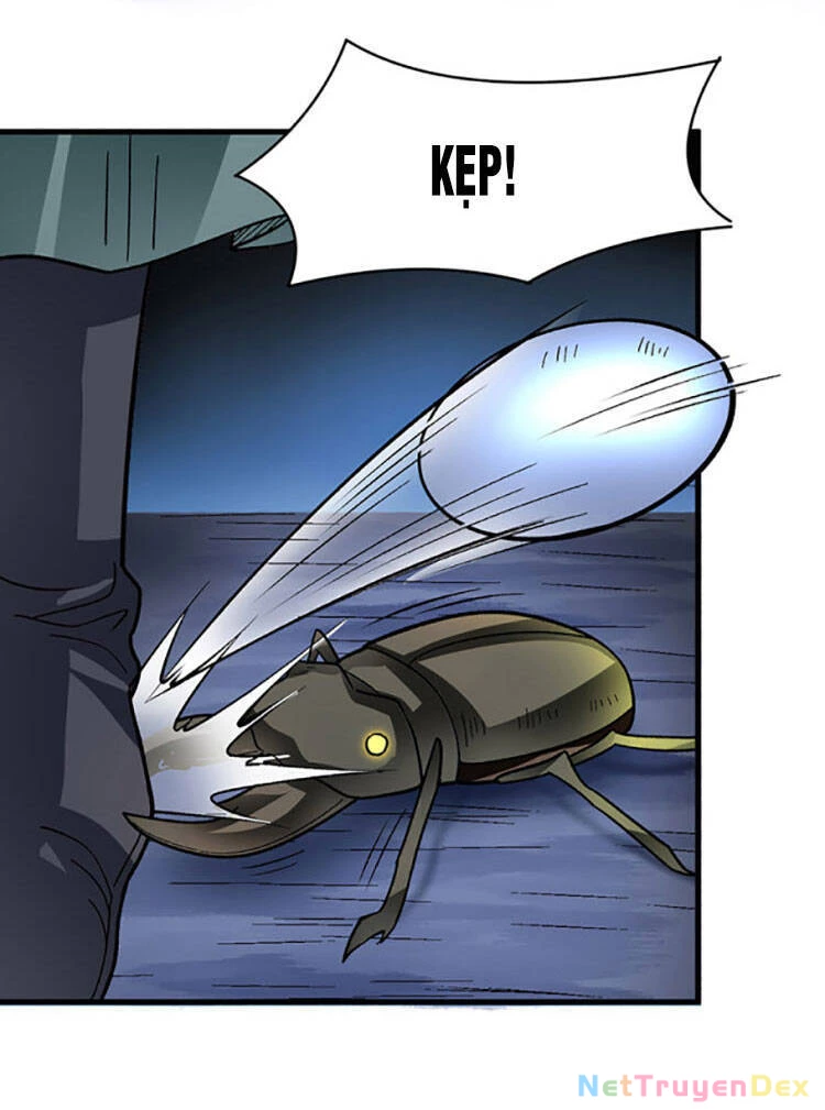 Võ Đạo Độc Tôn Chapter 384 - Next Chapter 385