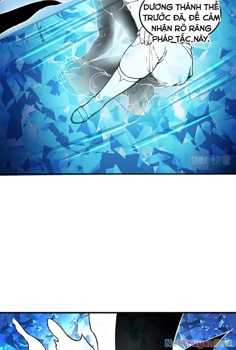 Võ Đạo Độc Tôn Chapter 392 - Next Chapter 393