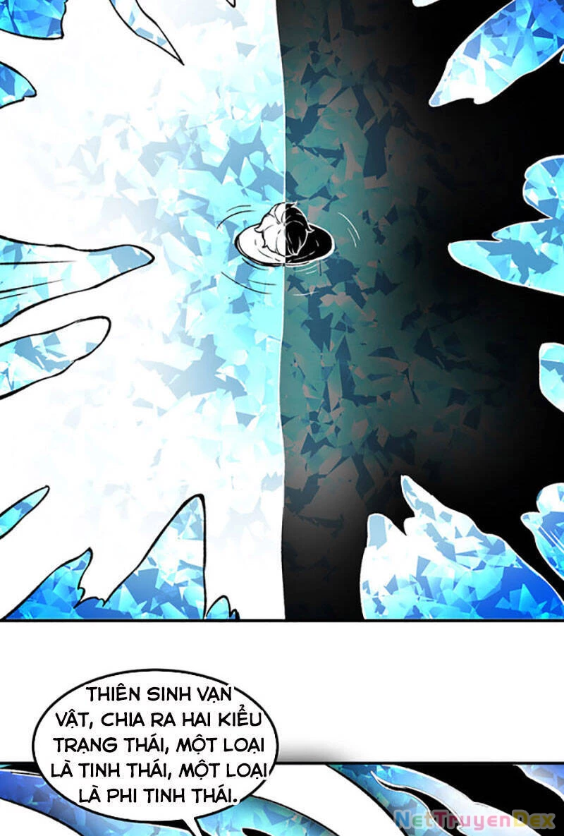 Võ Đạo Độc Tôn Chapter 392 - Next Chapter 393