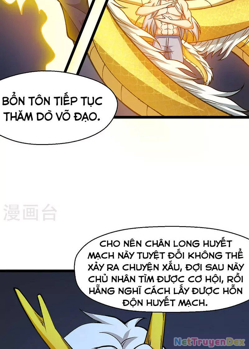 Võ Đạo Độc Tôn Chapter 416 - Next Chapter 417