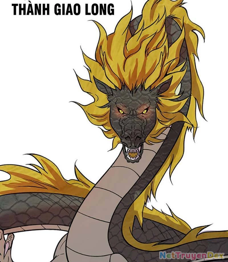 Võ Đạo Độc Tôn Chapter 444 - Next Chapter 445