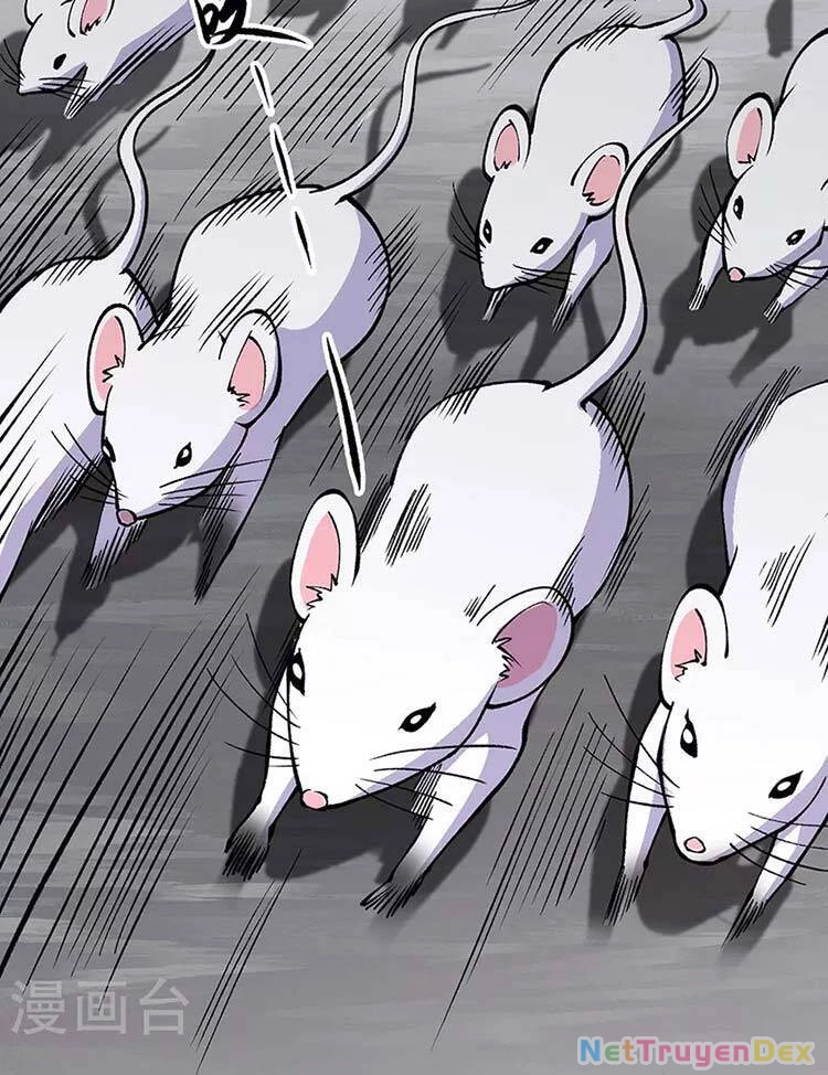 Võ Đạo Độc Tôn Chapter 446 - Next Chapter 447