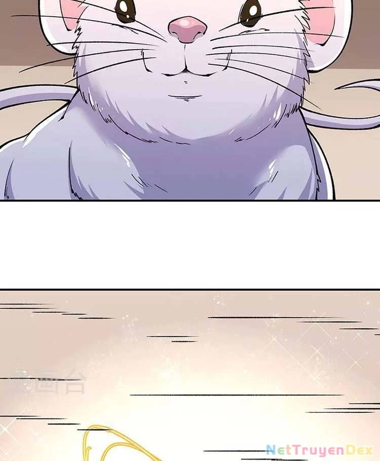 Võ Đạo Độc Tôn Chapter 446 - Next Chapter 447