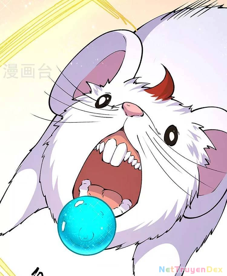 Võ Đạo Độc Tôn Chapter 446 - Next Chapter 447