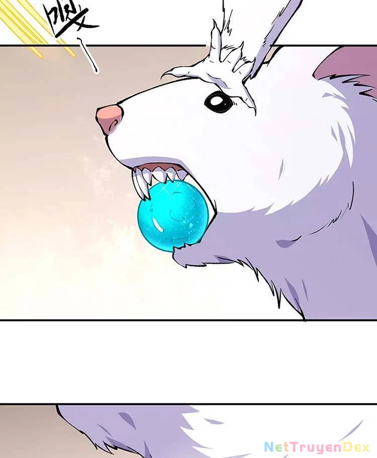 Võ Đạo Độc Tôn Chapter 446 - Next Chapter 447