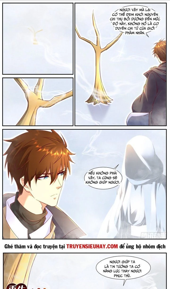 Trọng Sinh Đô Thị Tu Tiên Chapter 901 - Trang 4