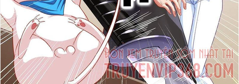 Vạn Tra Triêu Hoàng Chapter 211 - Next Chapter 212