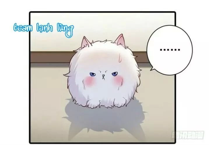 Tuyệt Sắc Quyến Rũ: Quỷ Y Chí Tôn Chapter 138.1 - Trang 2