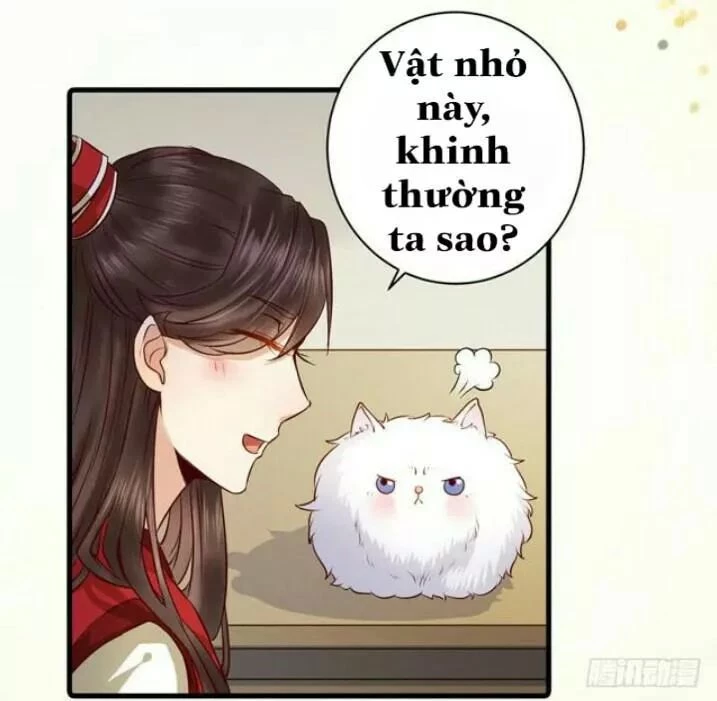 Tuyệt Sắc Quyến Rũ: Quỷ Y Chí Tôn Chapter 138.1 - Trang 2