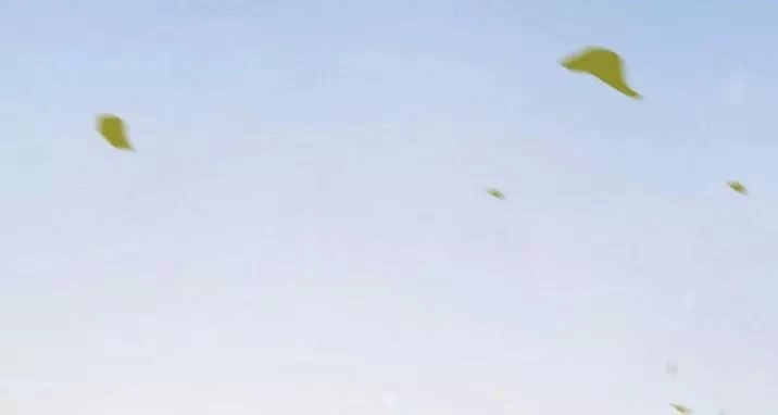 Tuyệt Sắc Quyến Rũ: Quỷ Y Chí Tôn Chapter 145.1 - Trang 2