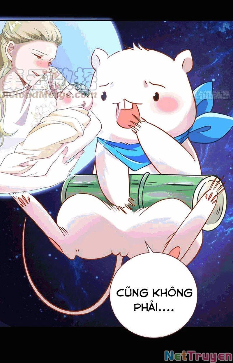 Vạn Tra Triêu Hoàng Chapter 224 - Trang 4