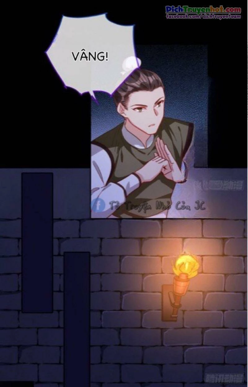 Vạn Tra Triêu Hoàng Chapter 257 - Trang 4